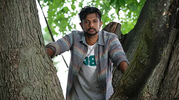 Дерево